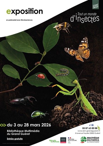 affiche expo insectes 420x594 424 x 600